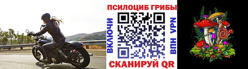 Галлюциногенные грибы прущие грибы  купить закладку  Нефтекамск 